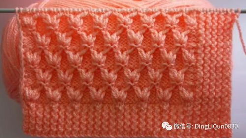 針織作品 30個毛衣 毯子等的針織針跡圖案設計